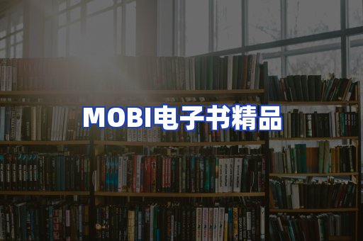 外文电子书产品